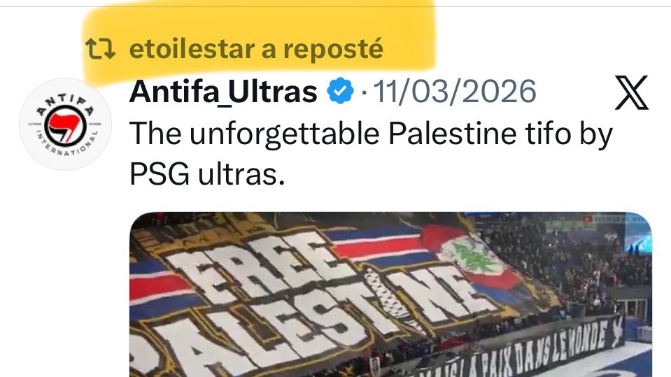 Marcel Samba tweet media