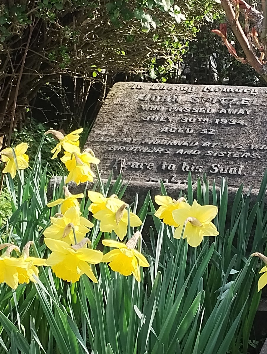 Willesden Jewish Cemetery tweet media