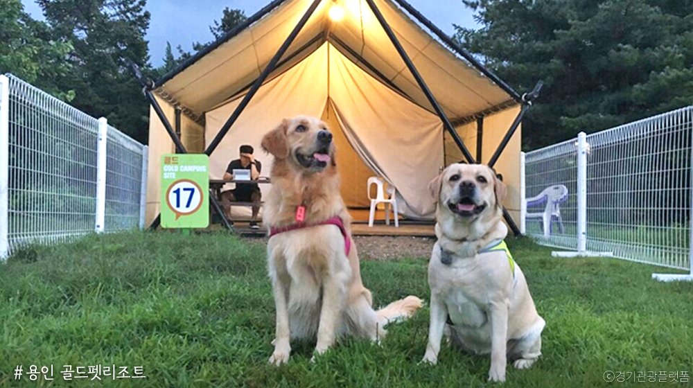 경기도 tweet media