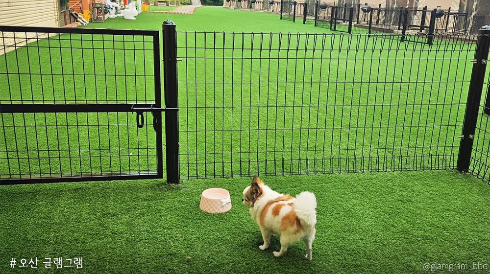 경기도 tweet media