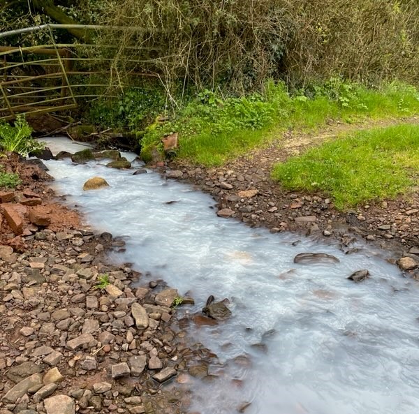 Environment AgencySW tweet media