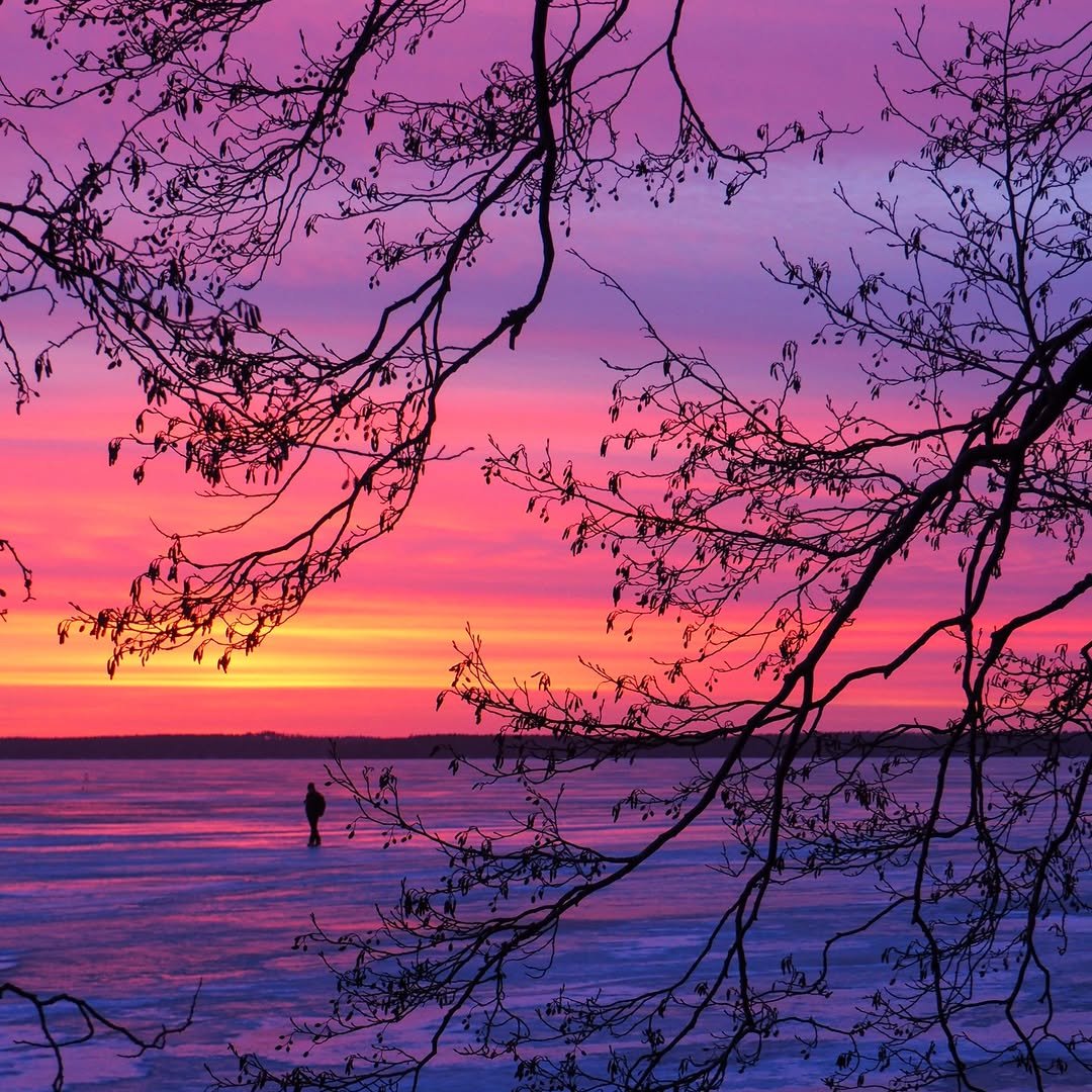 Discovering Finland tweet media