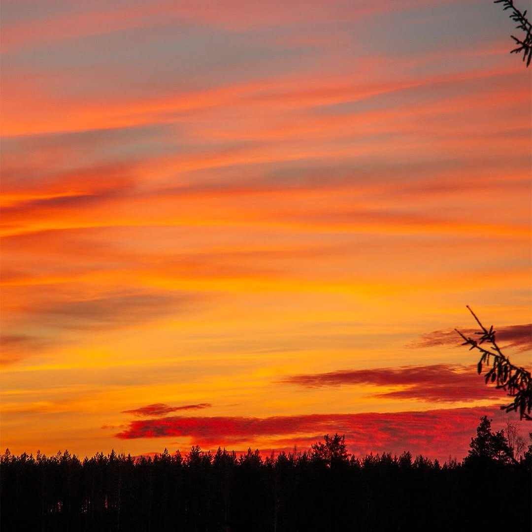 Discovering Finland tweet media