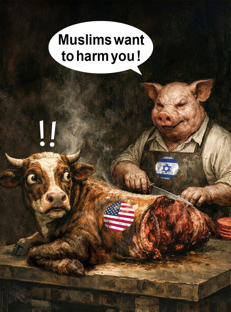 Plamen Petrov tweet media