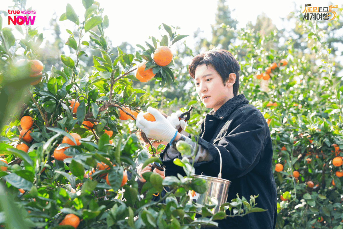 TrueVisions Now tweet media