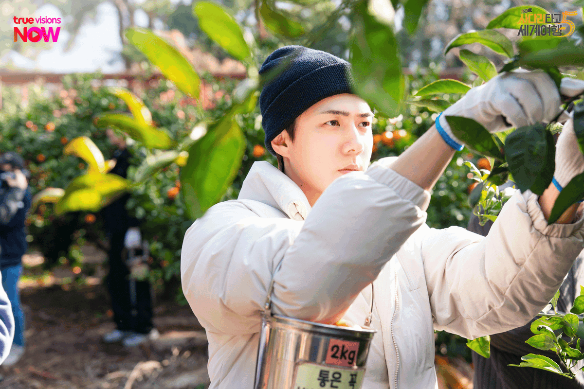 TrueVisions Now tweet media