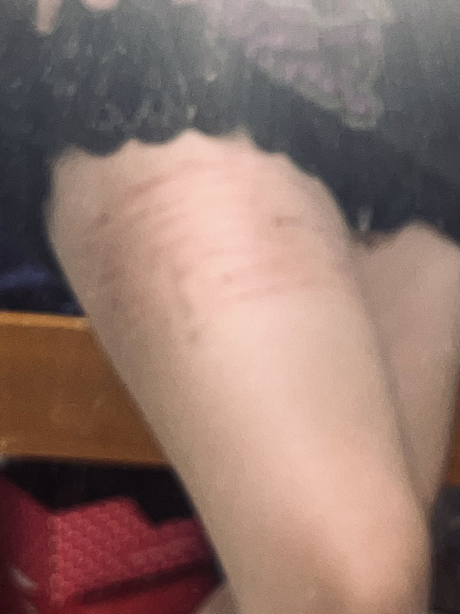 𝒞𝑒𝓁𝑒𝓈𝓉𝒾𝓃𝑒 ᐟᐟ 𝘚𝘩𝘦𝘥𝘵𝘸𝘵 tweet media