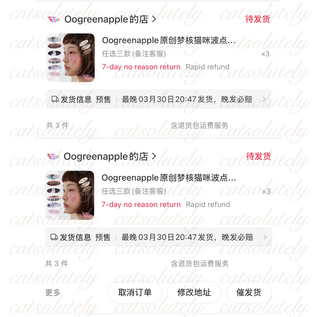 catsolutely tweet media