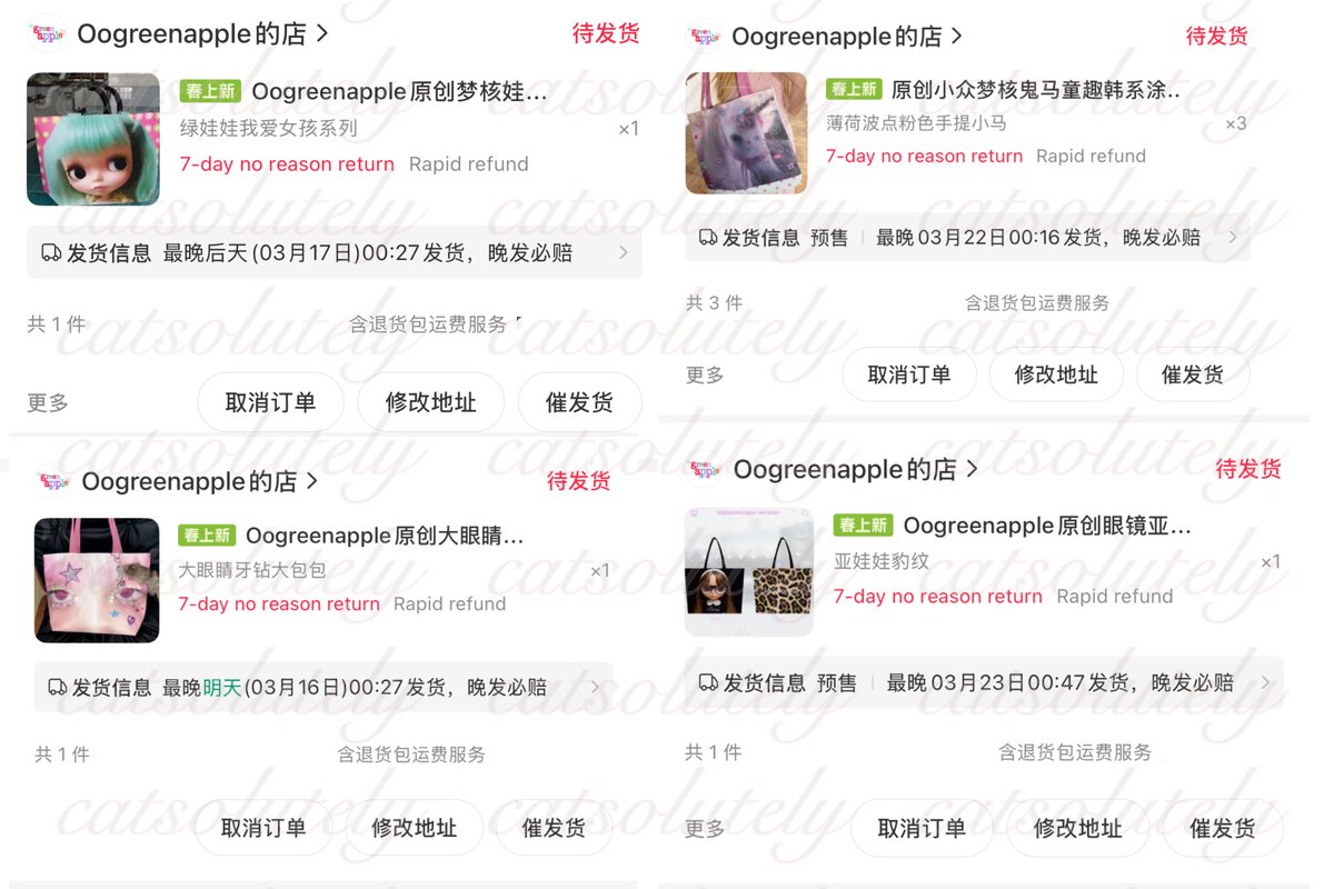 catsolutely tweet media