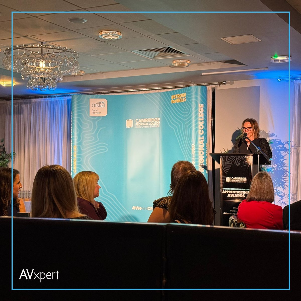 AV Xpert Limited tweet media