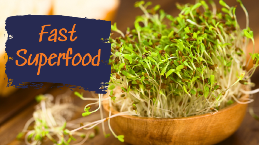 SoftwareTrainer's tweet image. Want a kitchen garden but no actual garden?

I’ve been testing indoor sprouting instead.

🎥 rfr.bz/teb4ffa

🔹 Small space friendly
🔹 Quick results
🔹 Low cost
🔹 Great with hydroponics

Perfect if you’re “green-fingered”.

#KitchenGarden #Sprouting #IndoorGarden