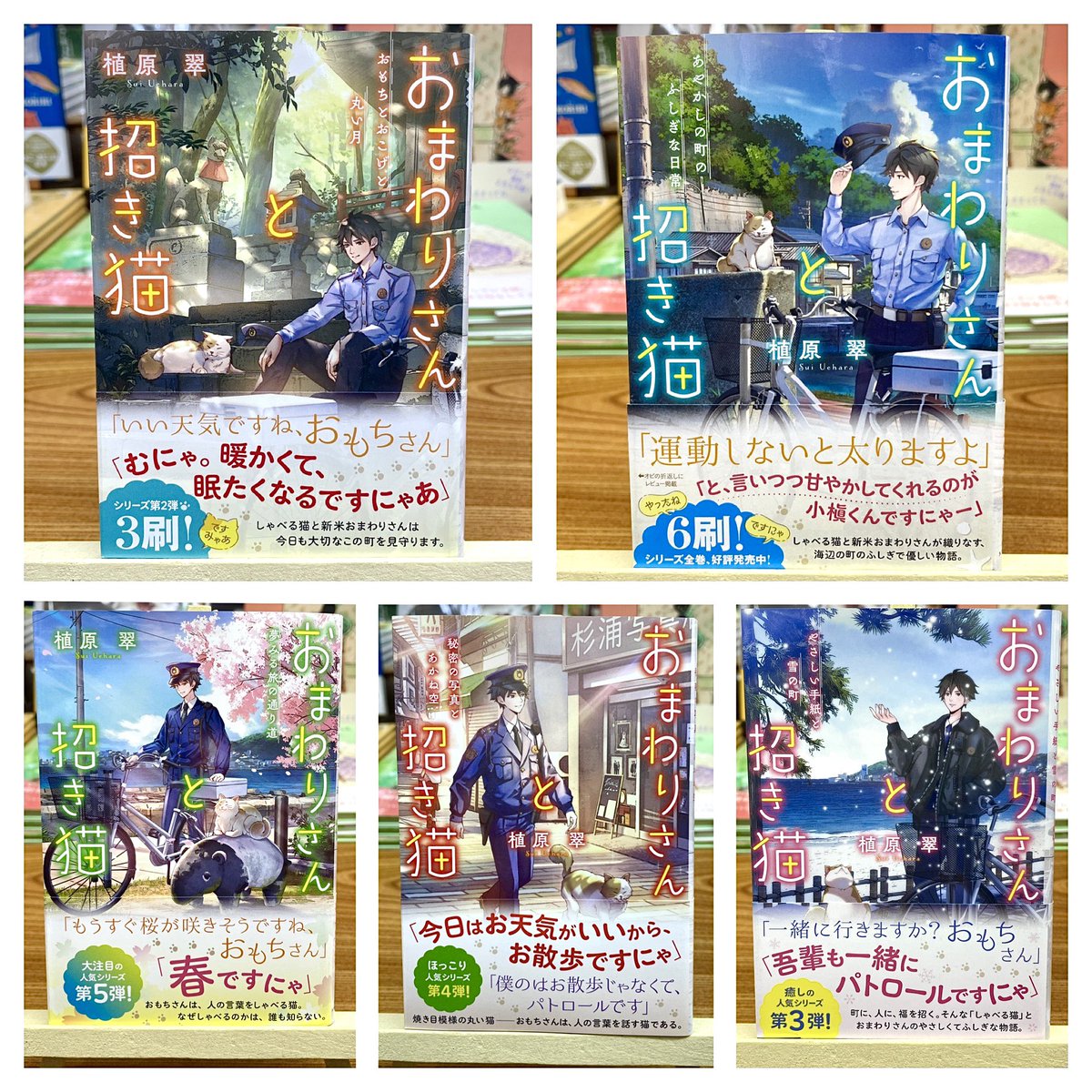 猫本専門 神保町にゃんこ堂_姉川書店 tweet media