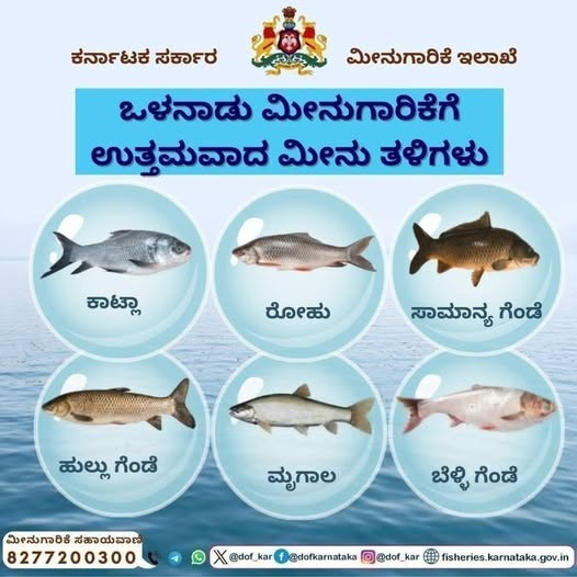 Dept of Fisheries, Karnataka tweet media