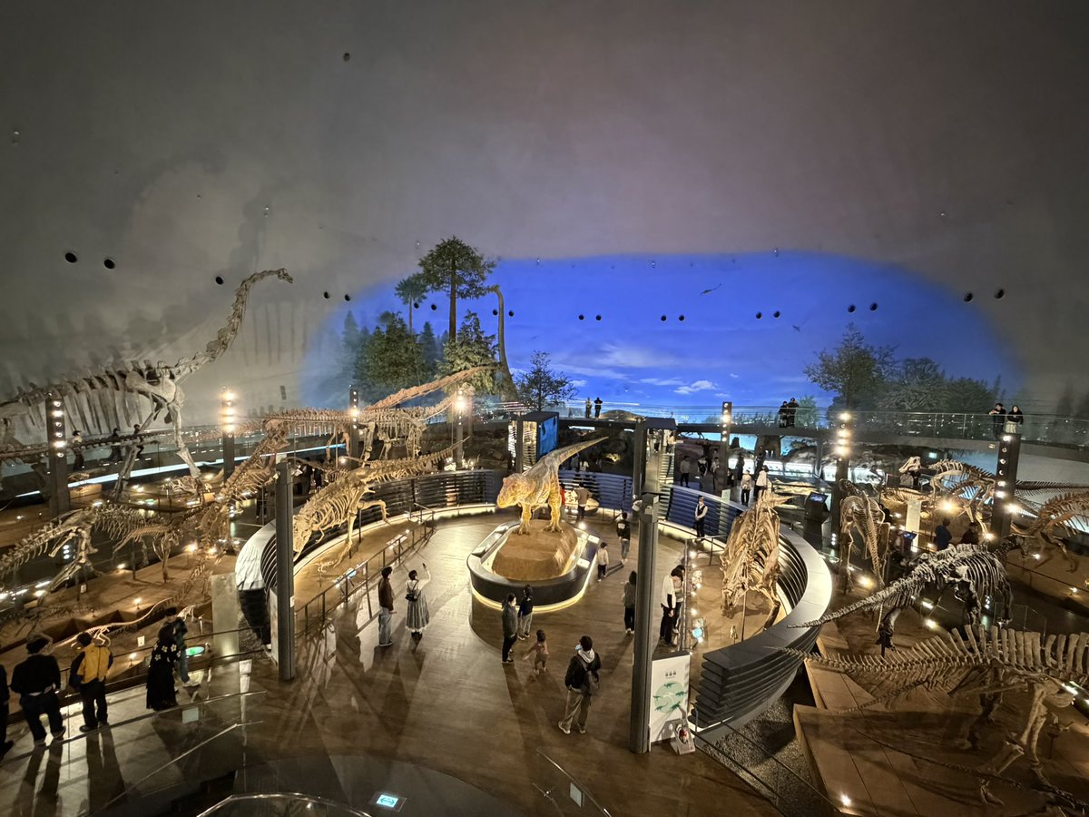 内山沙千佳 tweet media