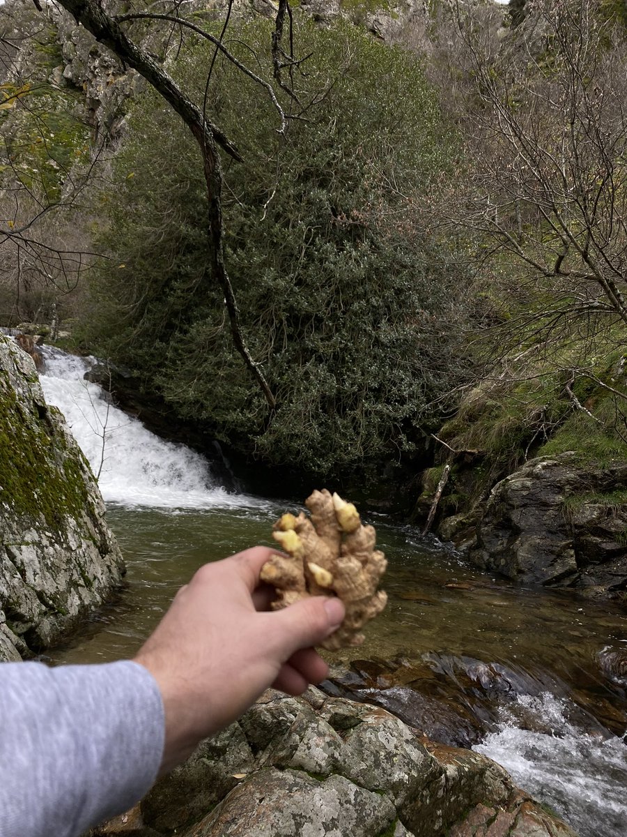 sixtobermejo tweet media