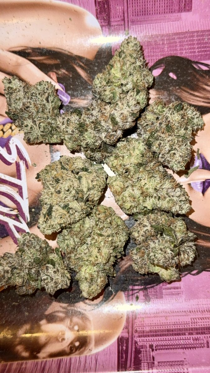 𝒜𝓃𝑔𝑒𝓁🪽 tweet media