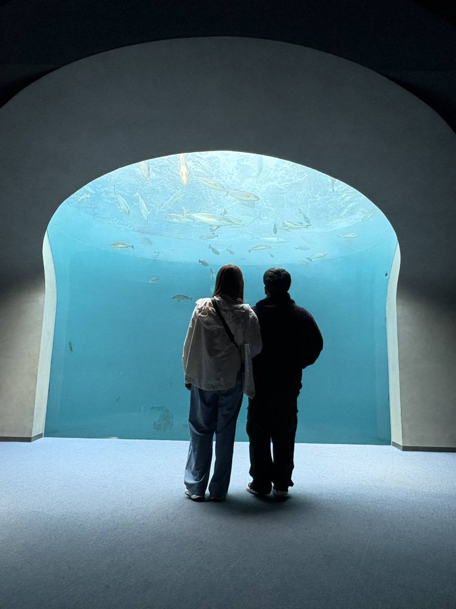 ゆろん✩.*˚ tweet media