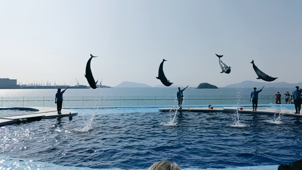 ゆろん✩.*˚ tweet media