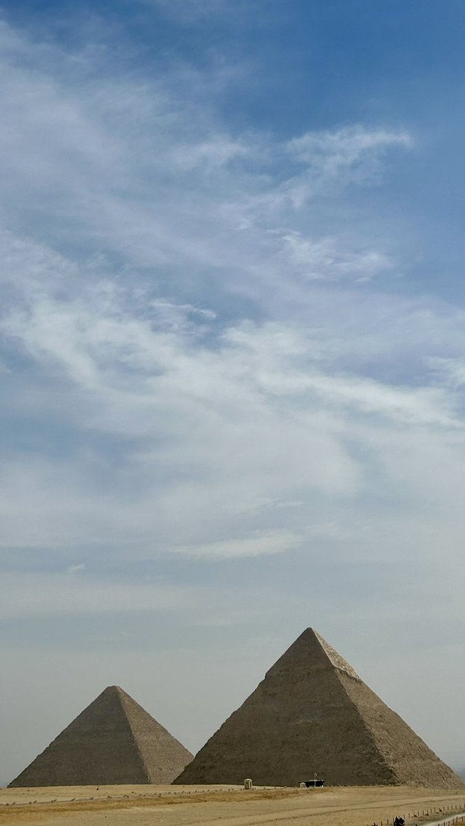 Bilel 🇹🇳🇵🇸 tweet media