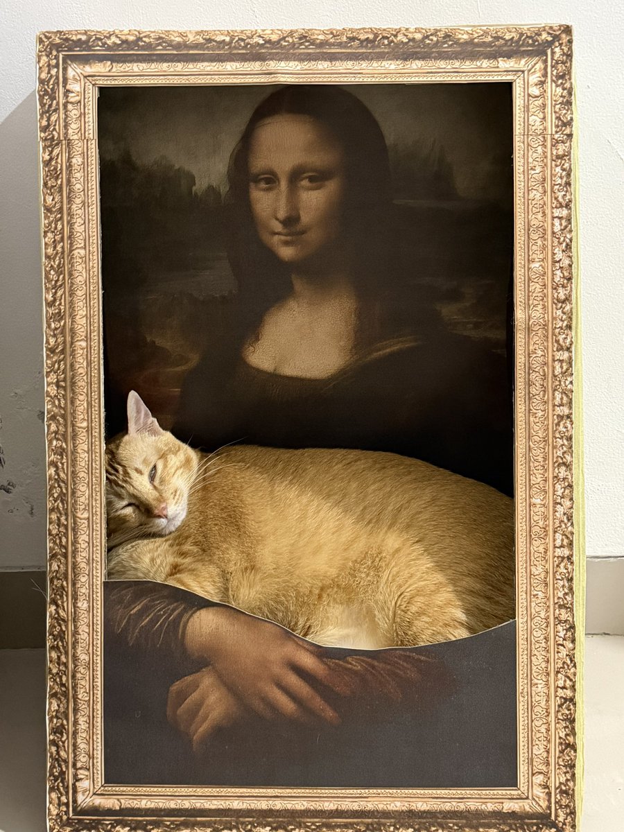 Simba Saekkiya tweet media