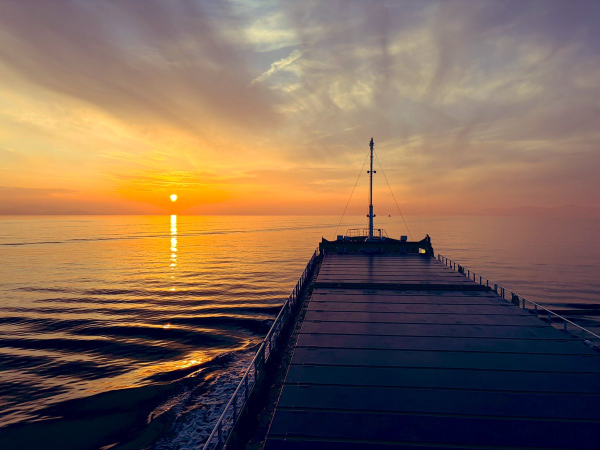 WATCH-annel【わっちゃんねる】 tweet media