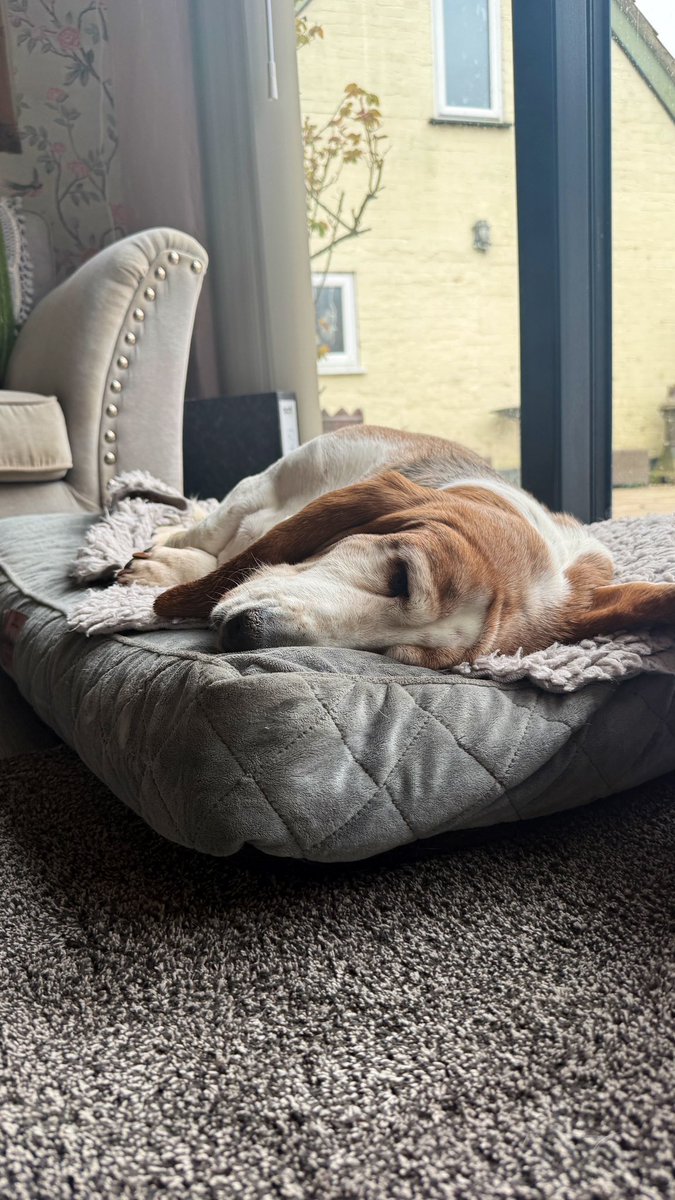 Phil Sledge tweet media