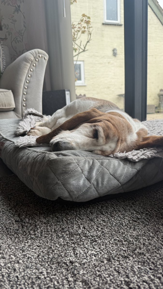 Phil Sledge tweet media