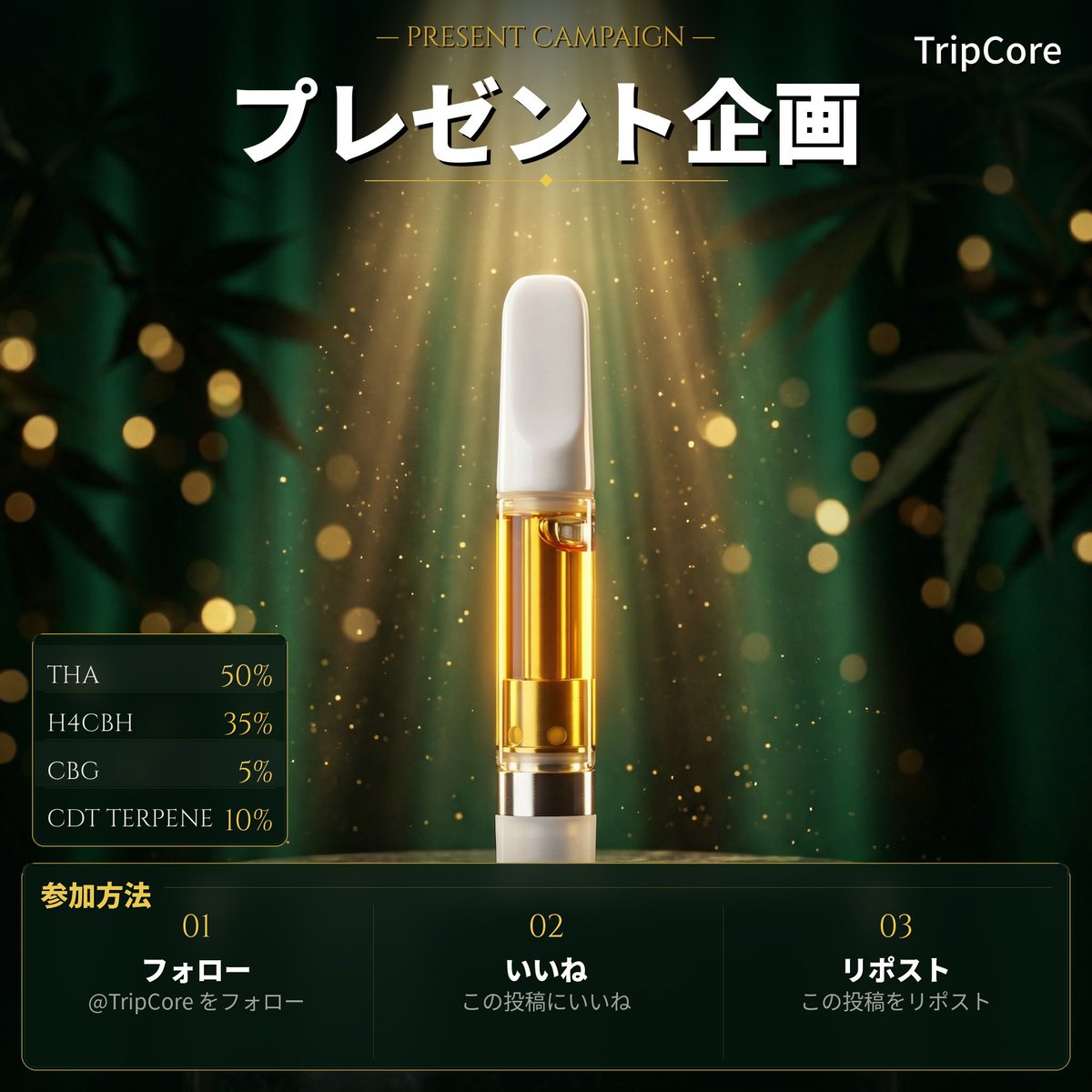 TripCore®︎公式 tweet media