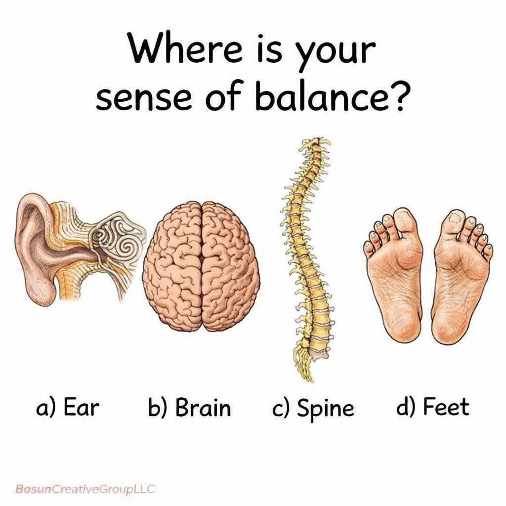 nivrax🇳🇴 tweet media