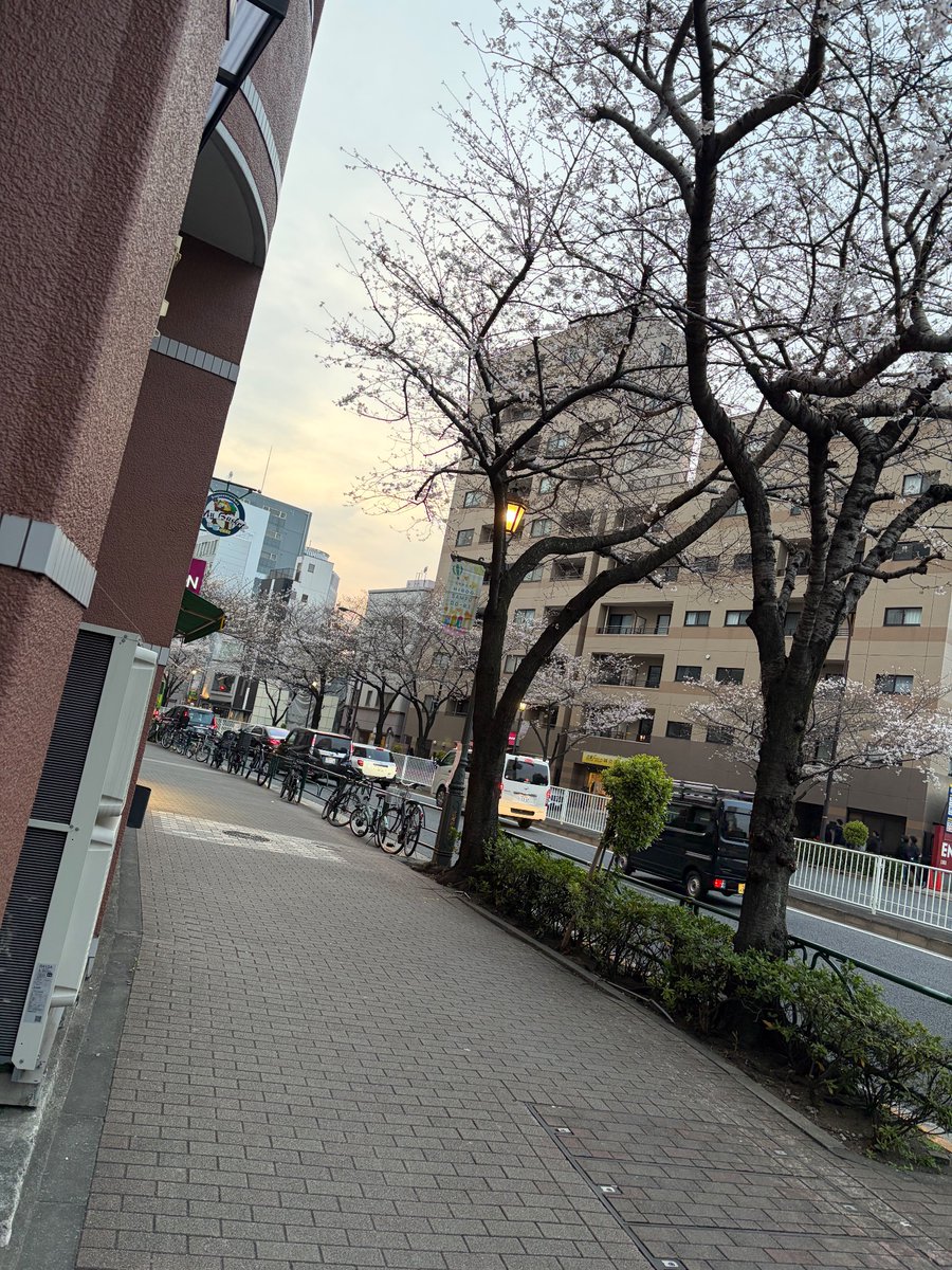 アールメイド / 家事代行 tweet media