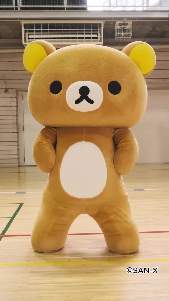 サンエックス【公式】 tweet media