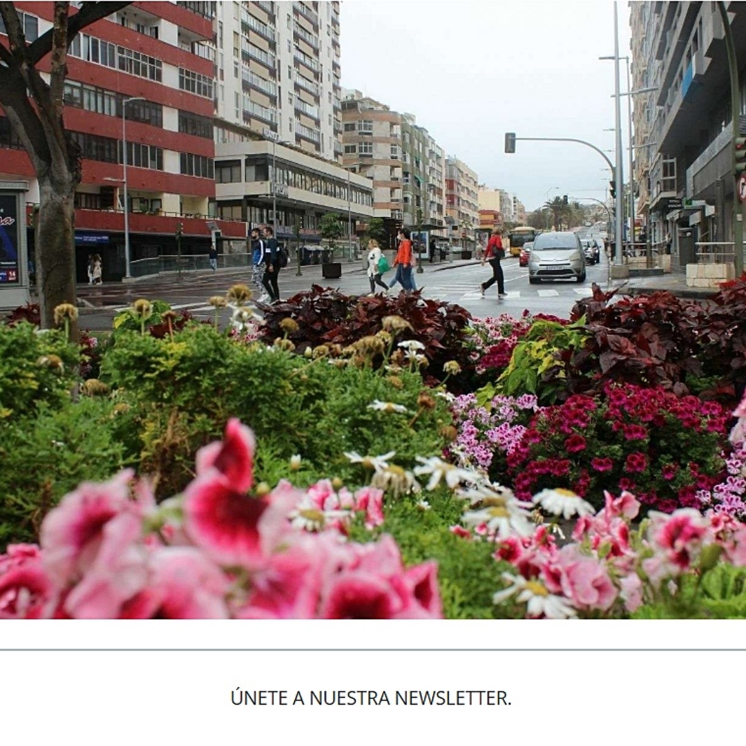 Zona Mesa y López tweet media