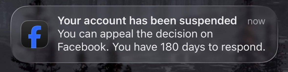 Jack 🐴 tweet media