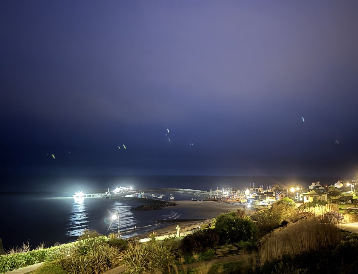 Barbara🦕 tweet media