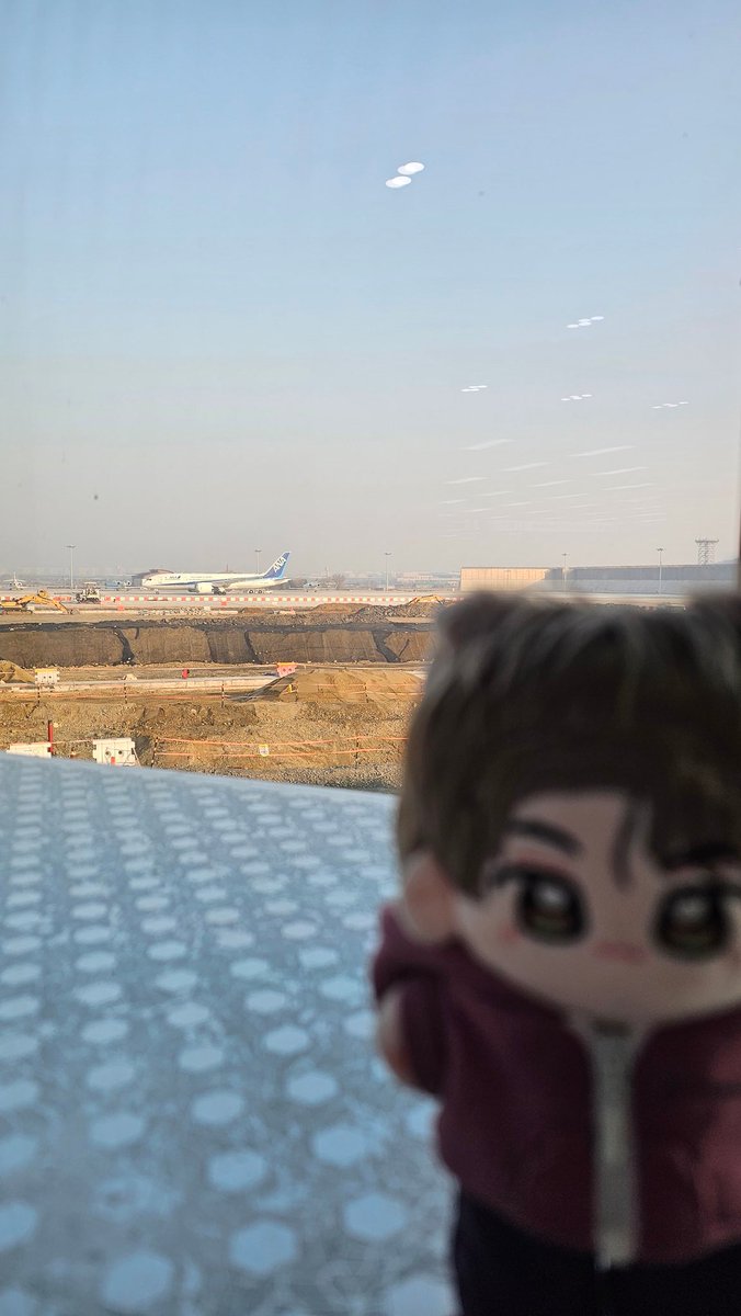라키시스 ˙Ⱉ˙ tweet media