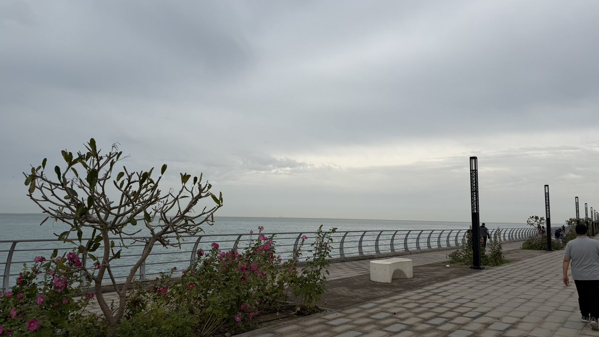 Lucio 🇸🇦 tweet media