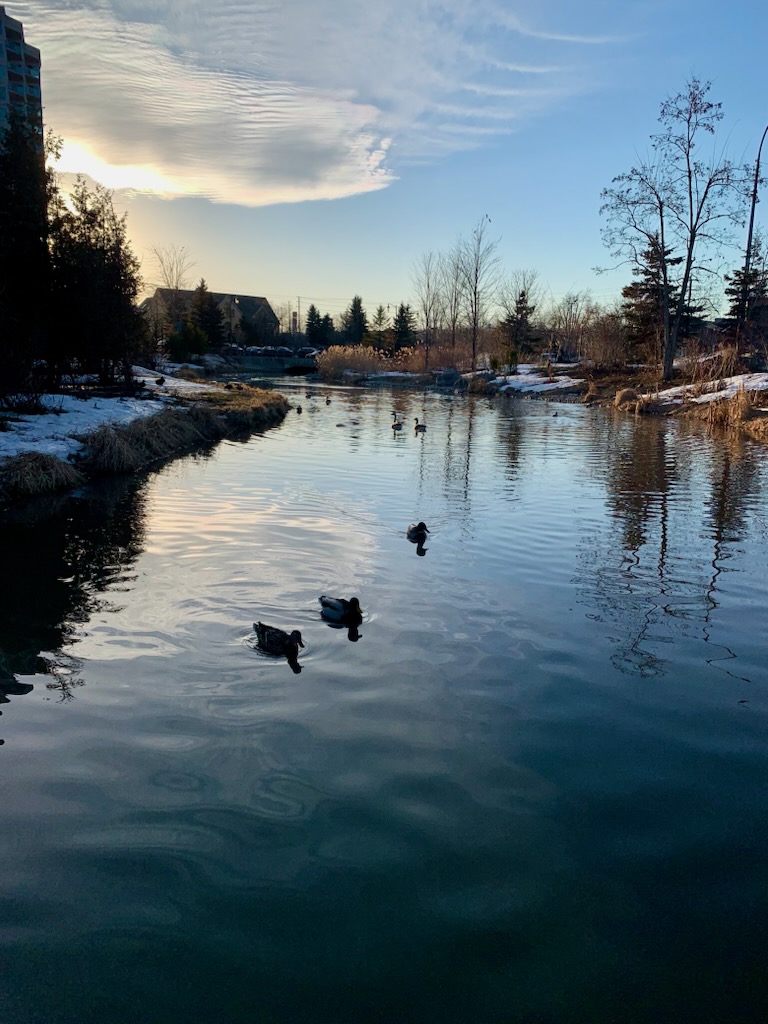 Barrie 360 Traffic & Weather tweet media