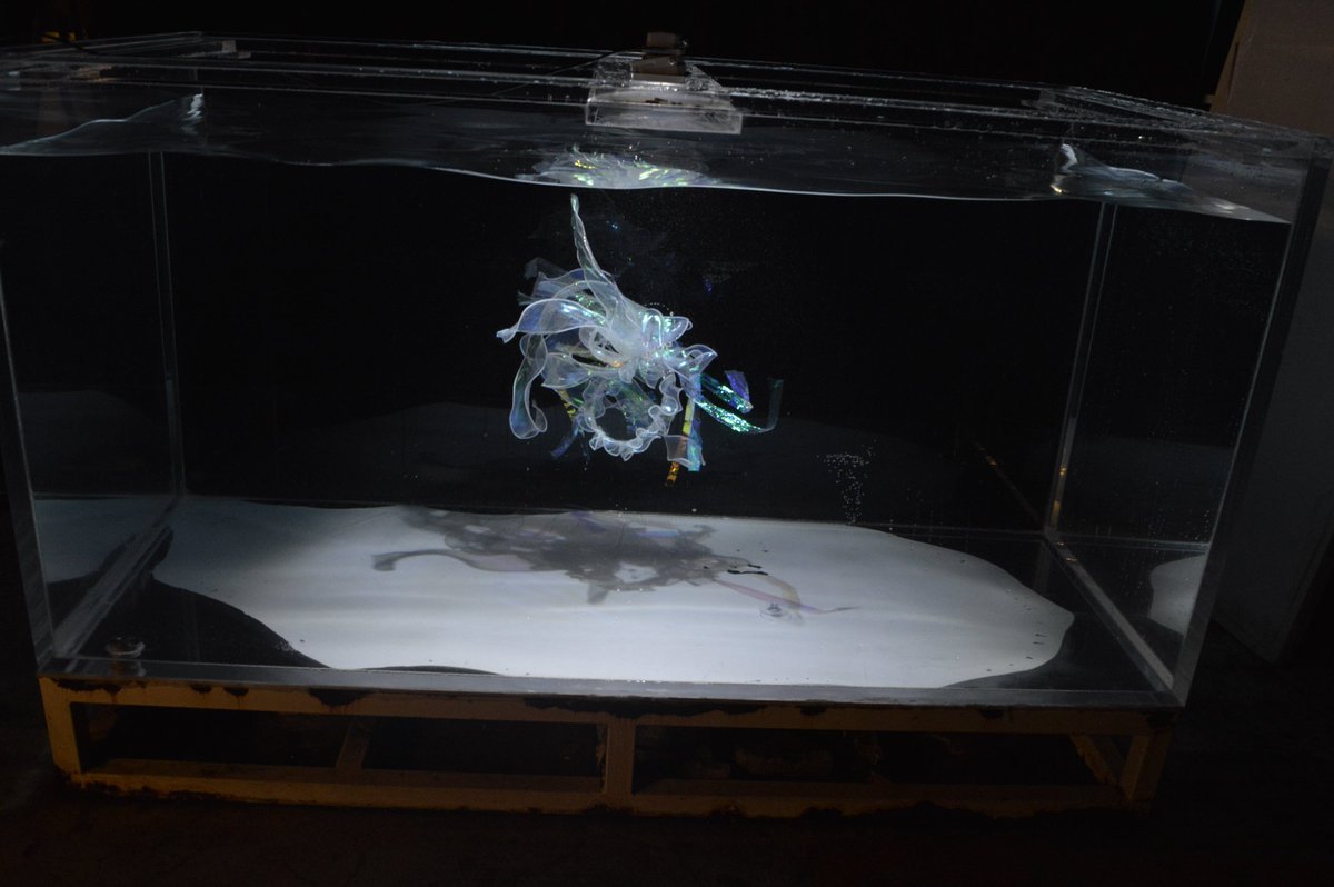 studioripple tweet media