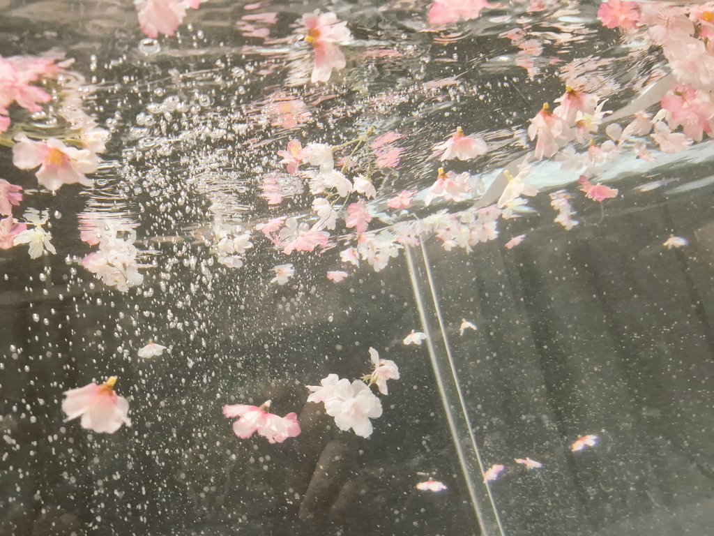 studioripple tweet media