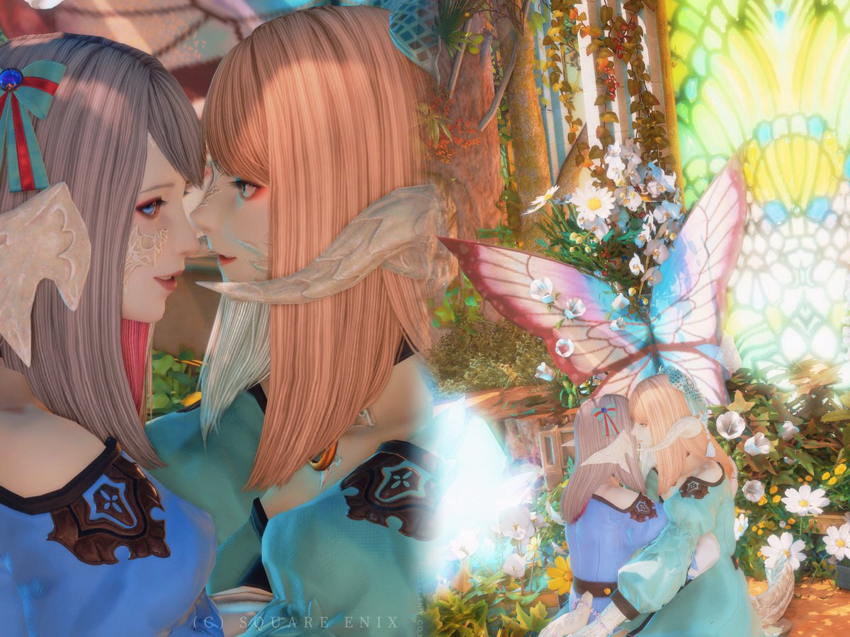 ステラノア tweet media