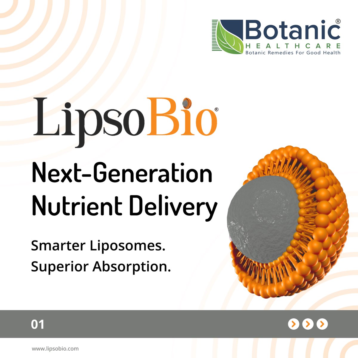 BotanicHealthc1's tweet photo. #Nutraceuticals #Liposomes #FormulationScience #DrugDelivery #B2B #LipsoBio #HealthIndustry #BotanicHealthcare #NutraceuticalFormulation #ScienceBasedNutrition #FoodSupplementsEU #CleanLabelNutrition #EuropeanNutraceuticals #GlobalNutraceuticals #B2BNutrition #BusinessGrowth https://t.co/FWmn8m5MAl