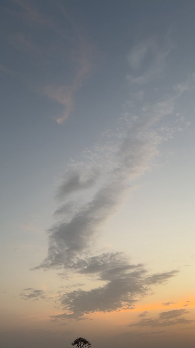 𝔗𝔯𝔞𝔡𝔢𝔯𝔰𝔡𝔬𝔯𝔪 tweet media