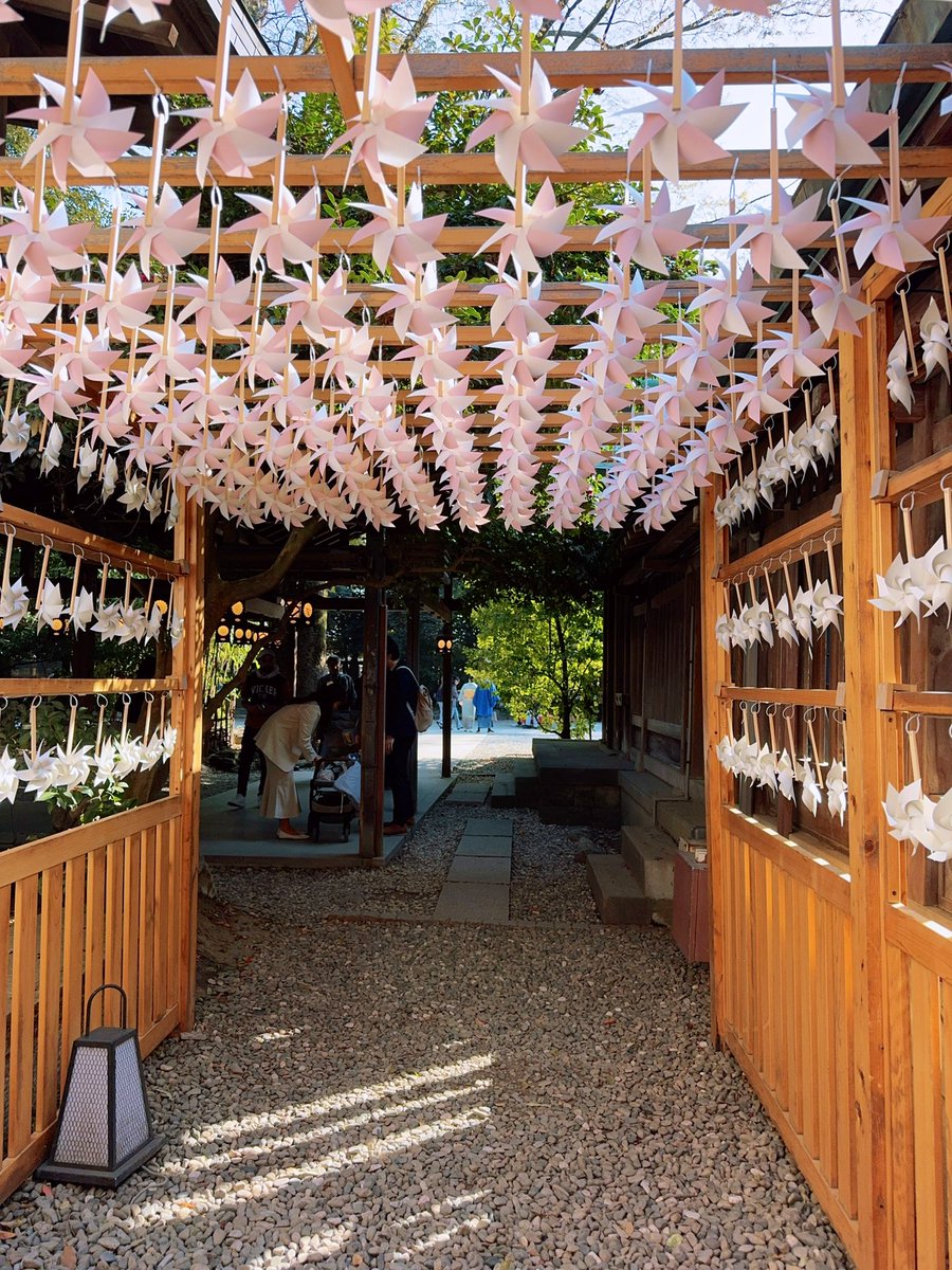 ako kimizuka tweet media