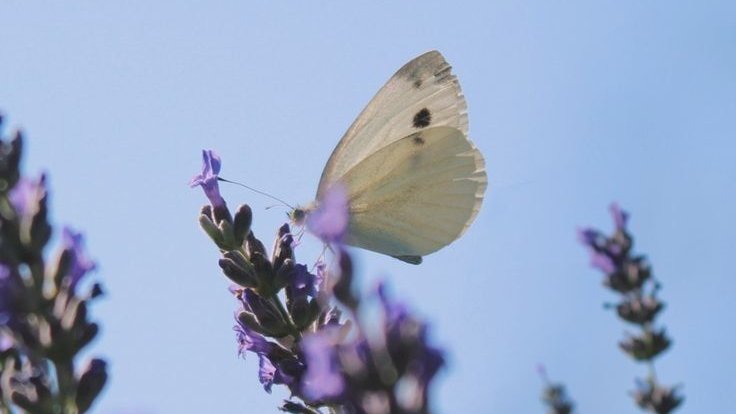 لا إِسلام بلا توحيد tweet media