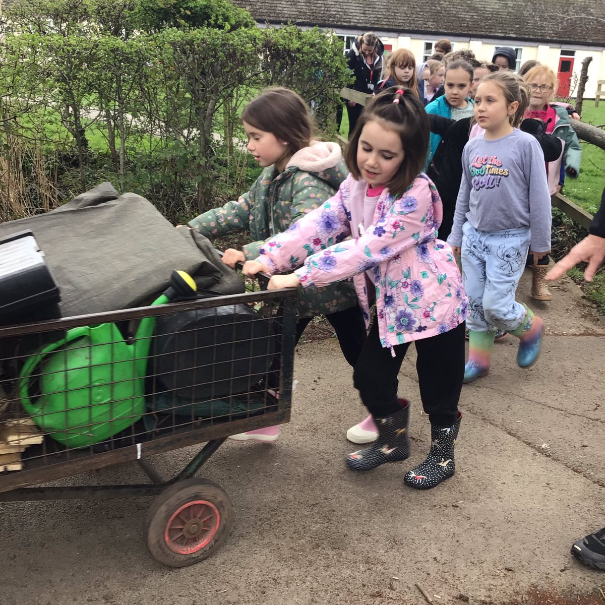 Broomfield Primary School (@broomfieldpri) on Twitter photo 