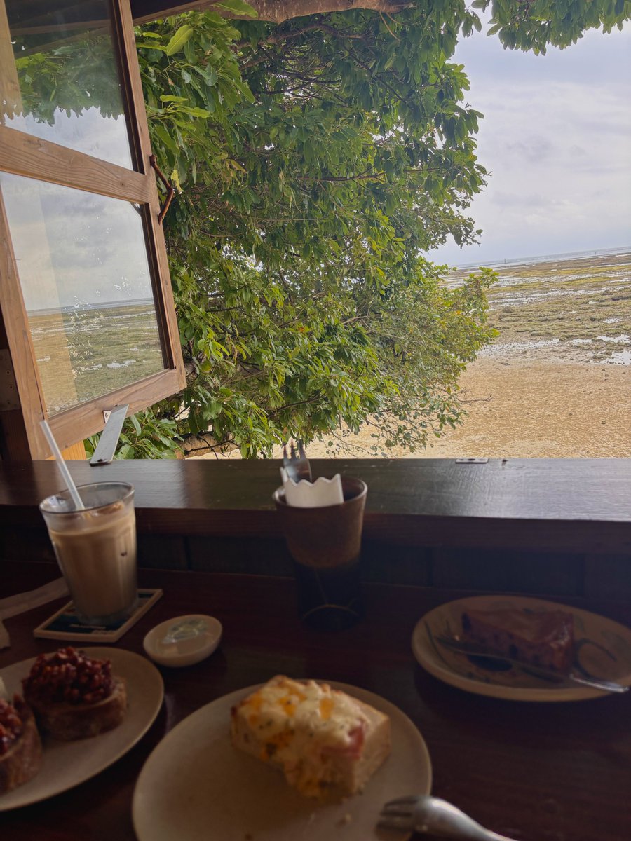 daichan🦈 tweet media