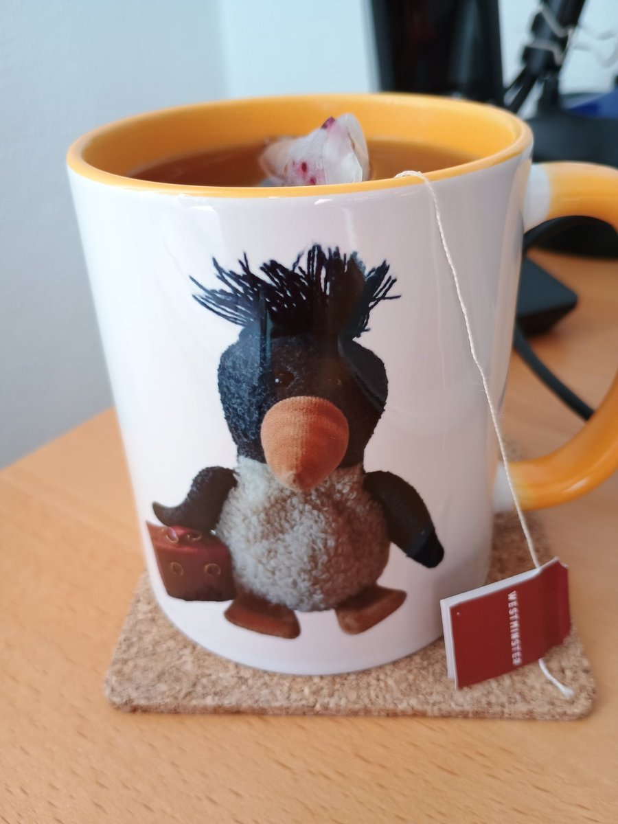 Beatrice @dasbechen.bsky.social tweet media