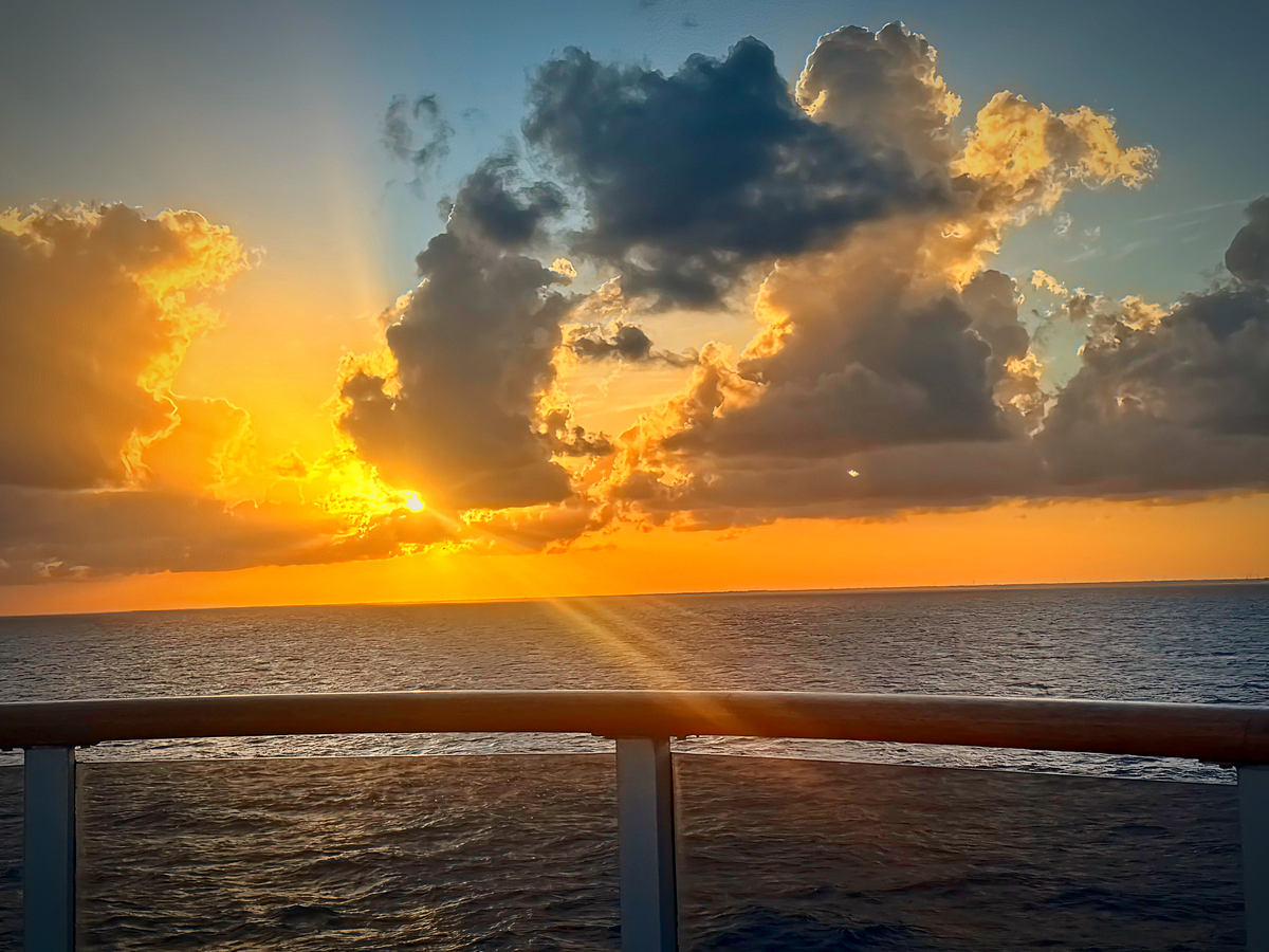 Felipe carballo tweet media