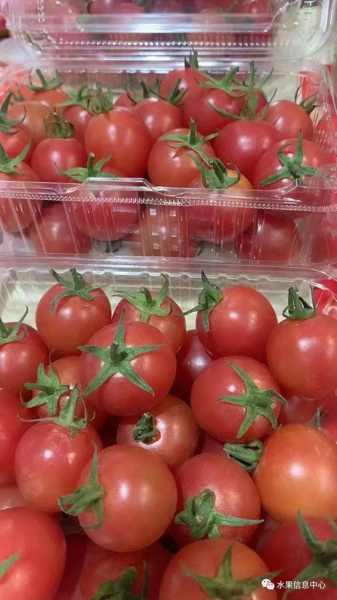 alberto a.m. tweet media