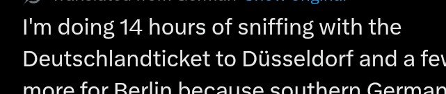 𝕋𝕊𝕌𝕂𝕀𝕂𝕆 ✛ ฅ^•ﻌ•^ฅ tweet media